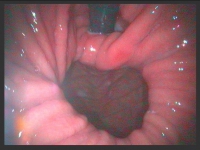 image_4887 image_4887